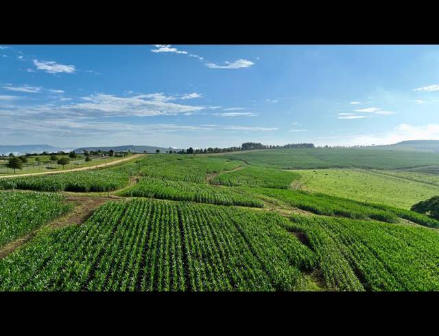 LAND FOR SALE IN MOUNT VERDE